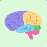 Desenho Universal para a Aprendizagem - 1.ª edição