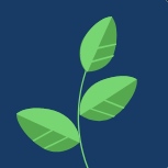 Zero Waste, menos lixo mais comida - 2.ª edição